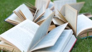 The Book Nook: The Upside Down Forest (Literature / Author Interviews)